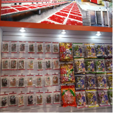 中國進出口商品交易會 (廣交會) 112屆