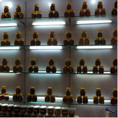 中國進出口商品交易會 (廣交會) 113屆